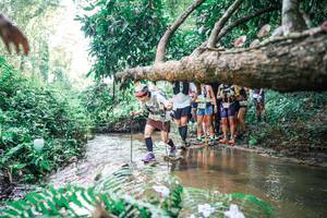 BIB: 
                            <button type="button" onclick="openModal(25472596)" class="btn btn-primary btn-sm float-right btn-popup" data-toggle="modal" data-target=".modal-high-quality">
                        <i class="fas fa-shopping-cart"></i> Add to Cart
                    </button>
                                            <button type="button" onclick="isThisMe(25472596, true)" class="btn btn-success btn-sm float-right btn-popup btn-isme hidden" data-toggle="tooltip" data-placement="bottom" title="นี่คือรูปของคุณใช่ไหม คลิกที่นี่เพื่อเอาเข้าอัลบั้ม">
                        <i class="fas fa-plus"></i> Add to album
                    </button>
                    <button type="button" onclick="isThisMe(25472596, false)" class="btn btn-warning btn-sm float-right btn-popup btn-isnotme hidden">
                        <i class="fas fa-ban"></i> Remove from album
                    </button>